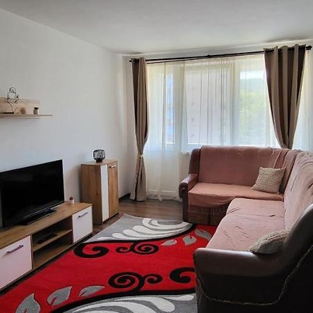 Apartament In Regim Hotelier Deva Zewnętrze zdjęcie