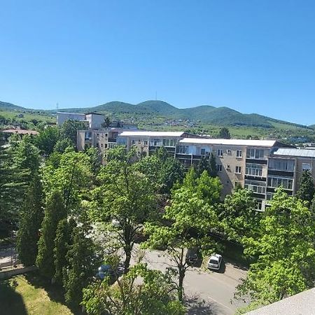 Apartament In Regim Hotelier Deva Zewnętrze zdjęcie