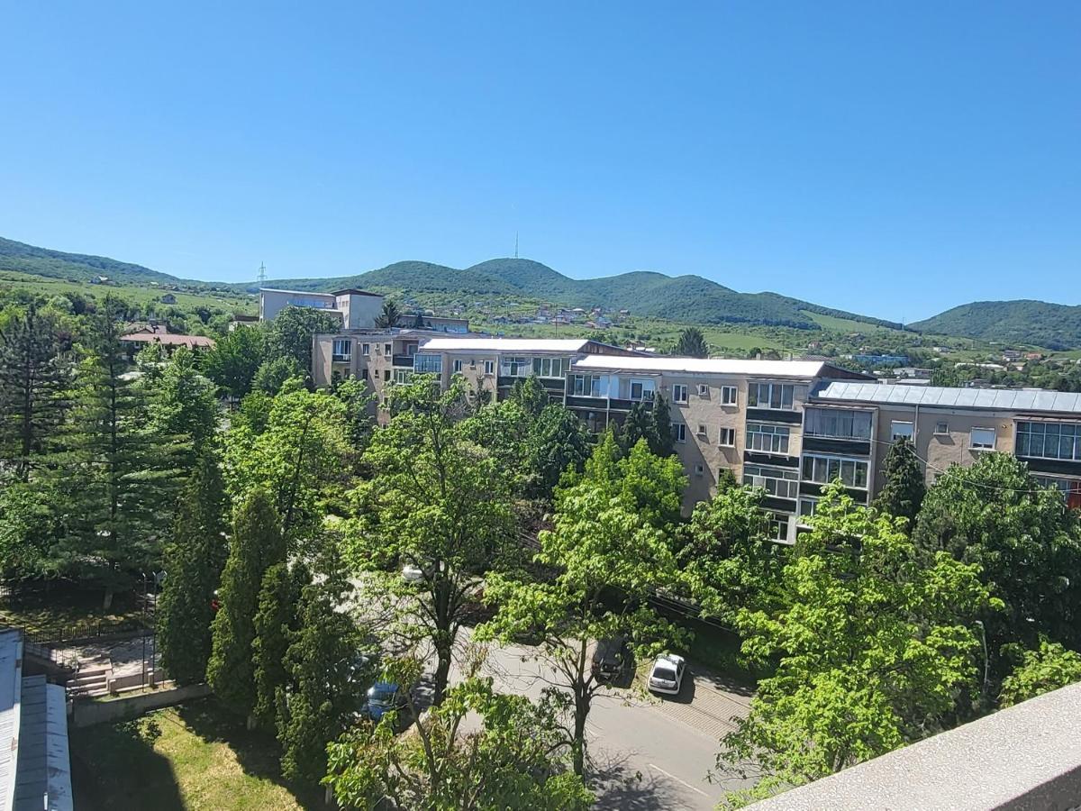 Apartament In Regim Hotelier Deva Zewnętrze zdjęcie